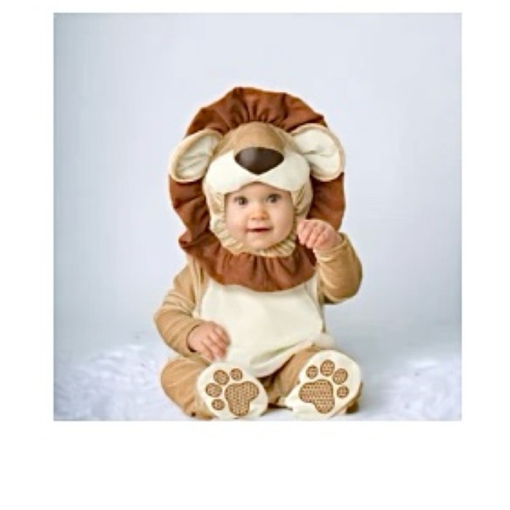 Adorable Baby Lion Costume
